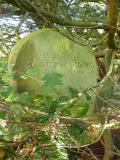 image of grave number 193041